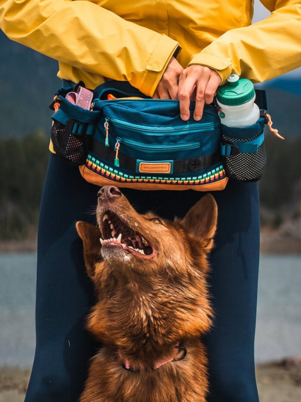 Wilderdog Mega Hip Pack – Teal